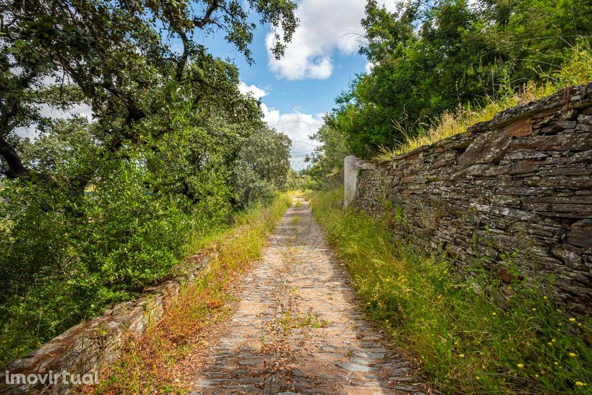 Terreno  para venda - Grande imagem: 3/15