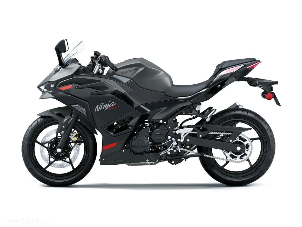Kawasaki Ninja - 3