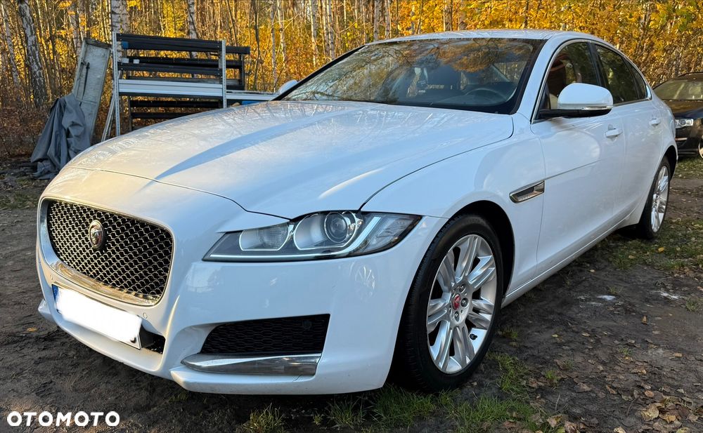Jaguar Xf