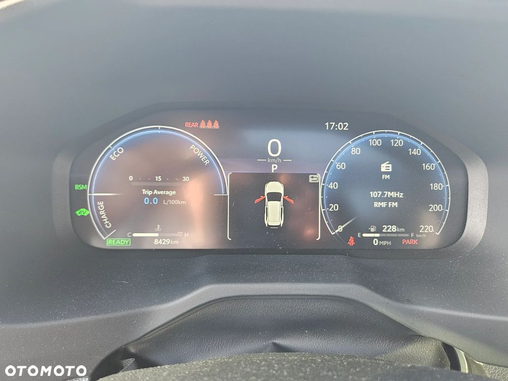 Toyota RAV4 - 19