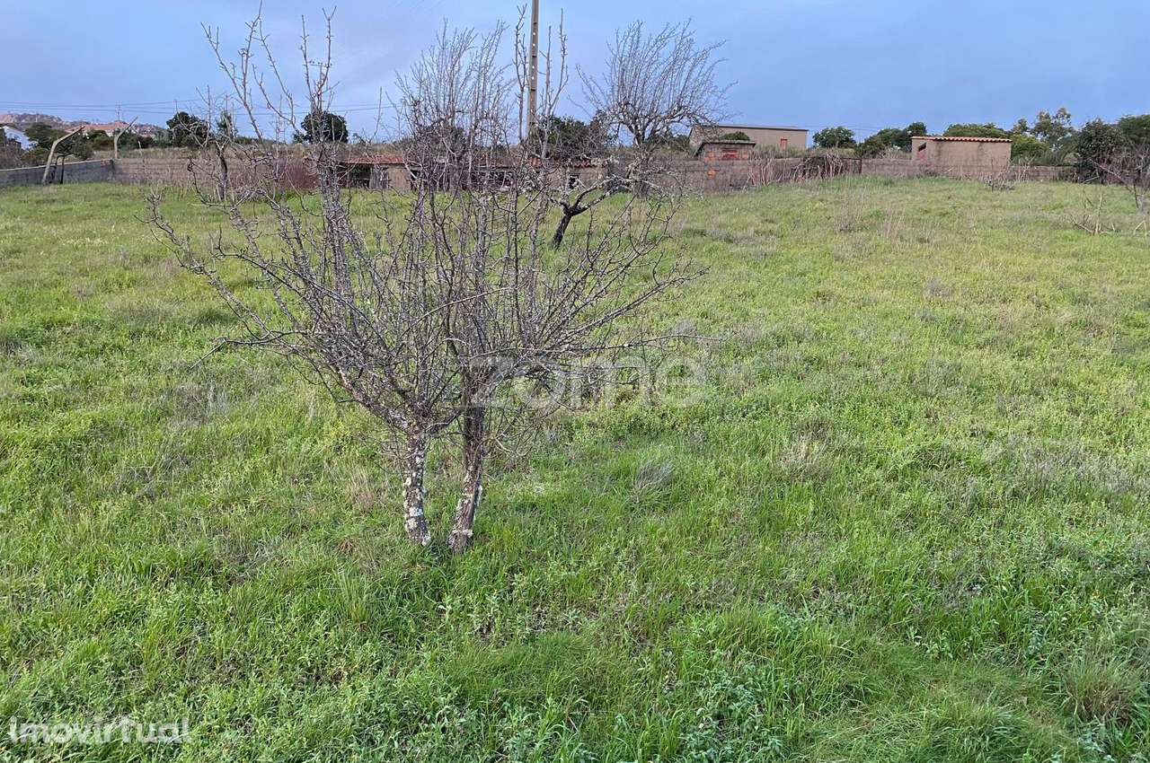 Terreno com 5.000 m2 em Brejas do Barco, Cambas, Oleiros - Grande imagem: 3/19