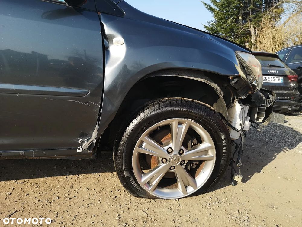 Lexus RX 400h (hybrid) Luxury - 20