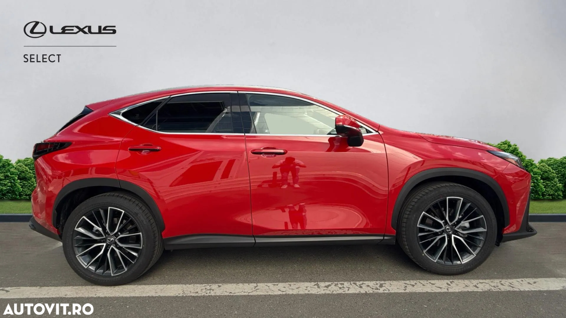 Lexus Seria NX 350h AWD CVT HEV Luxury - 24
