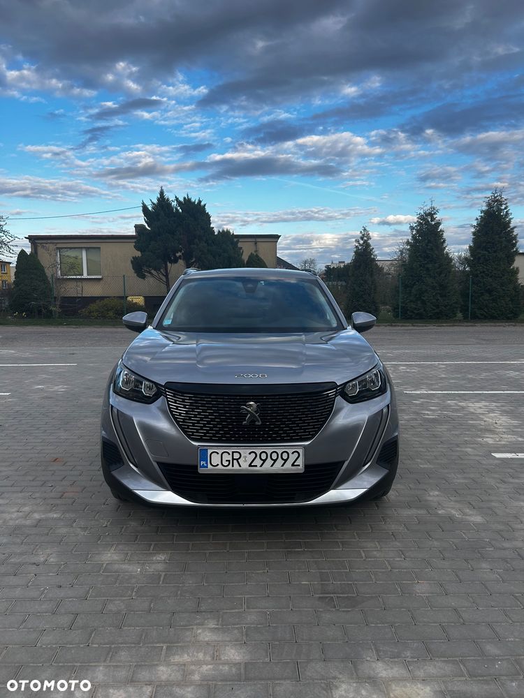 Peugeot 2008 BlueHDi 110 Active - 2