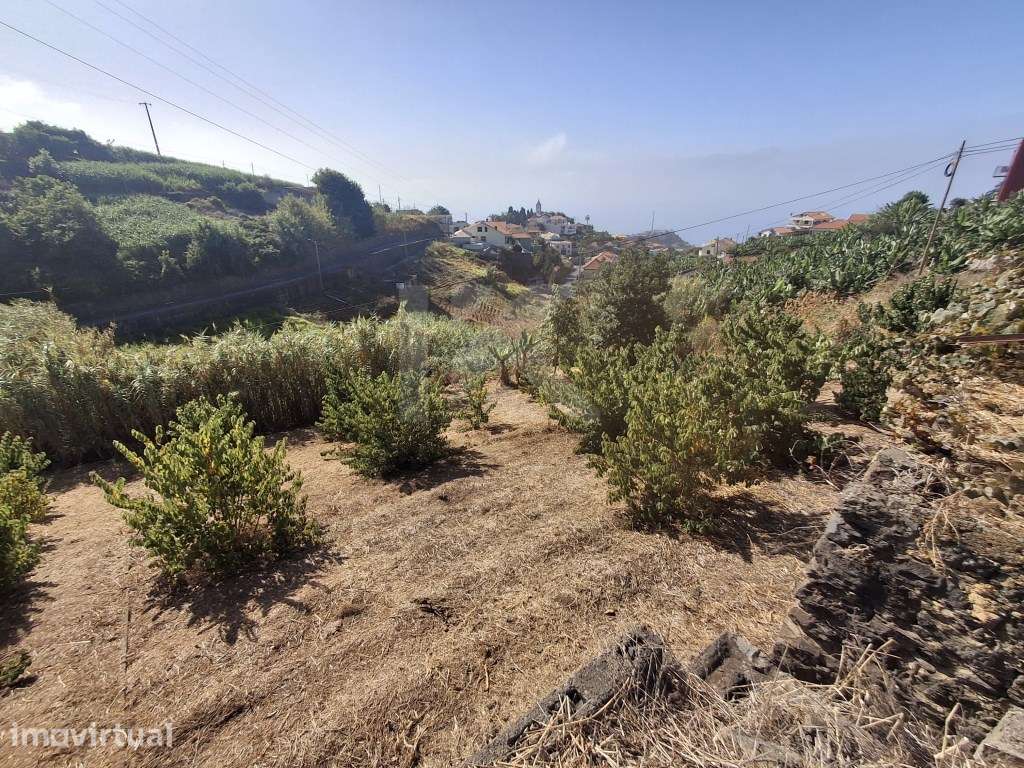 Terreno Canhas - Grande imagem: 3/47