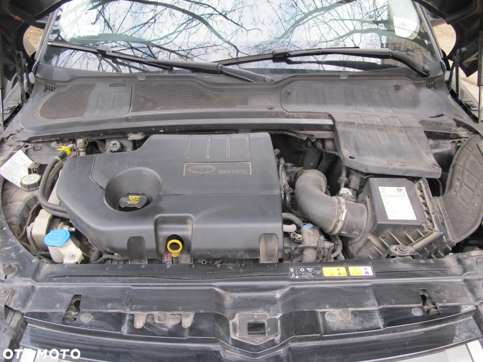 Land Rover Range Rover Evoque - 9