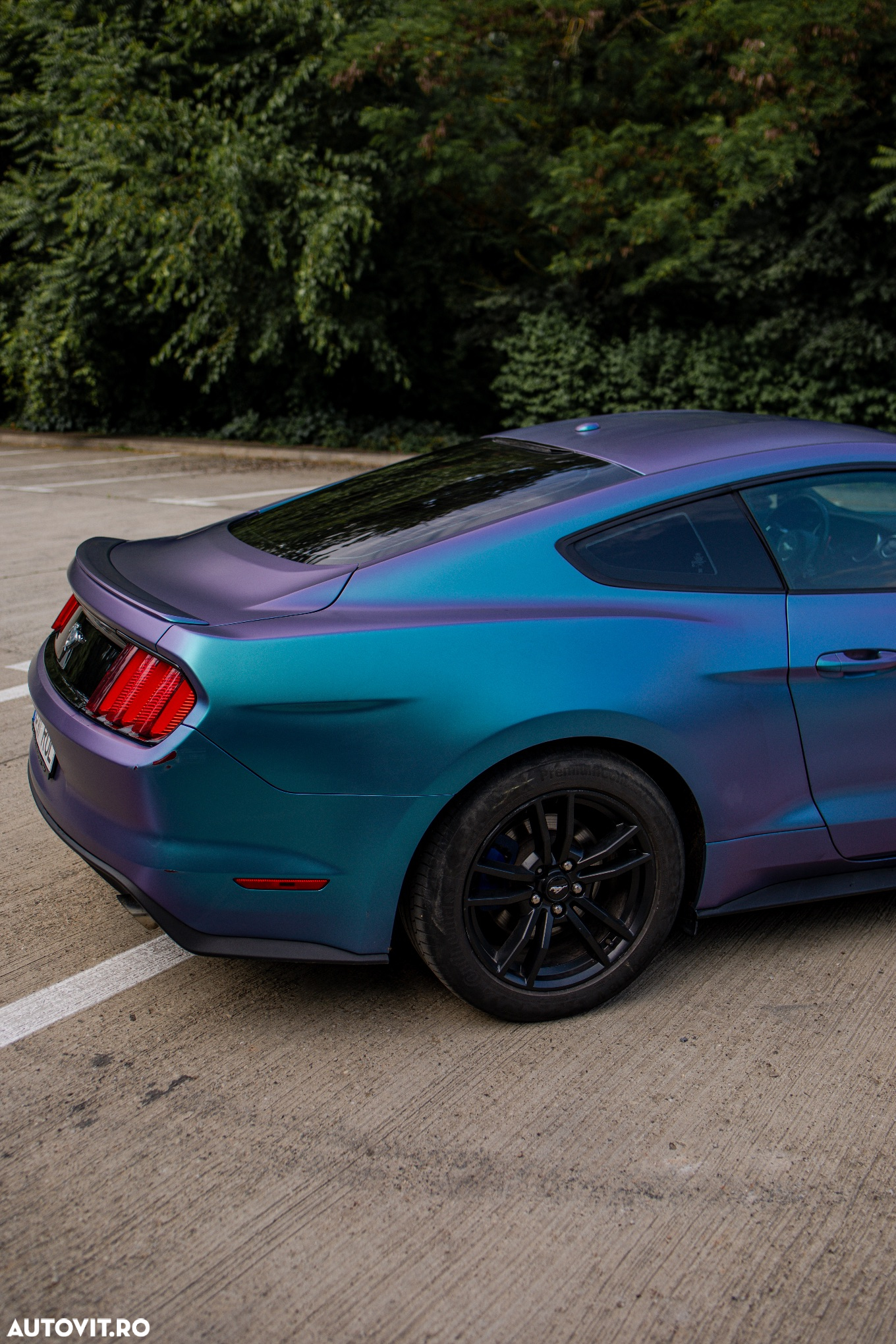 Ford Mustang 2.3 EcoBoost Aut. - 8