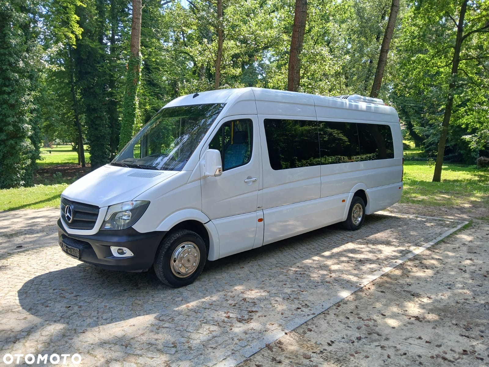 Mercedes-Benz 519 - 2