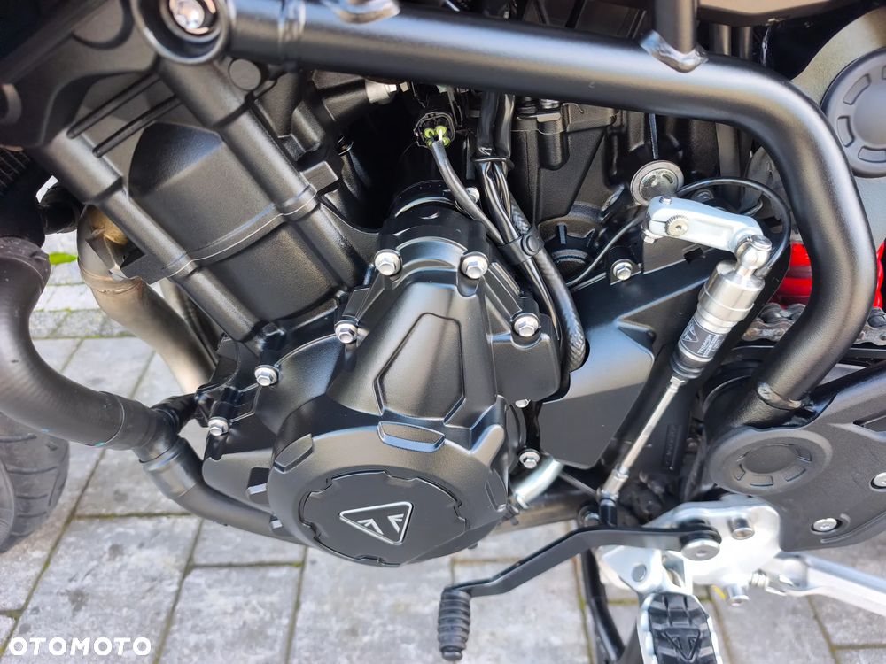 Triumph Tiger - 31