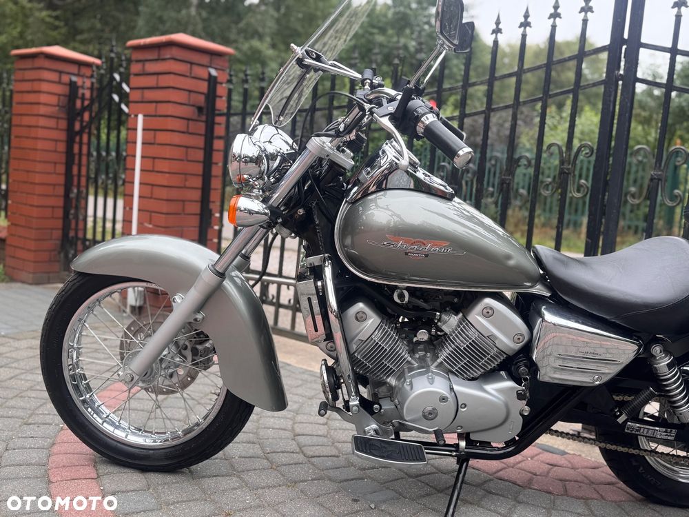 Honda VT - 19