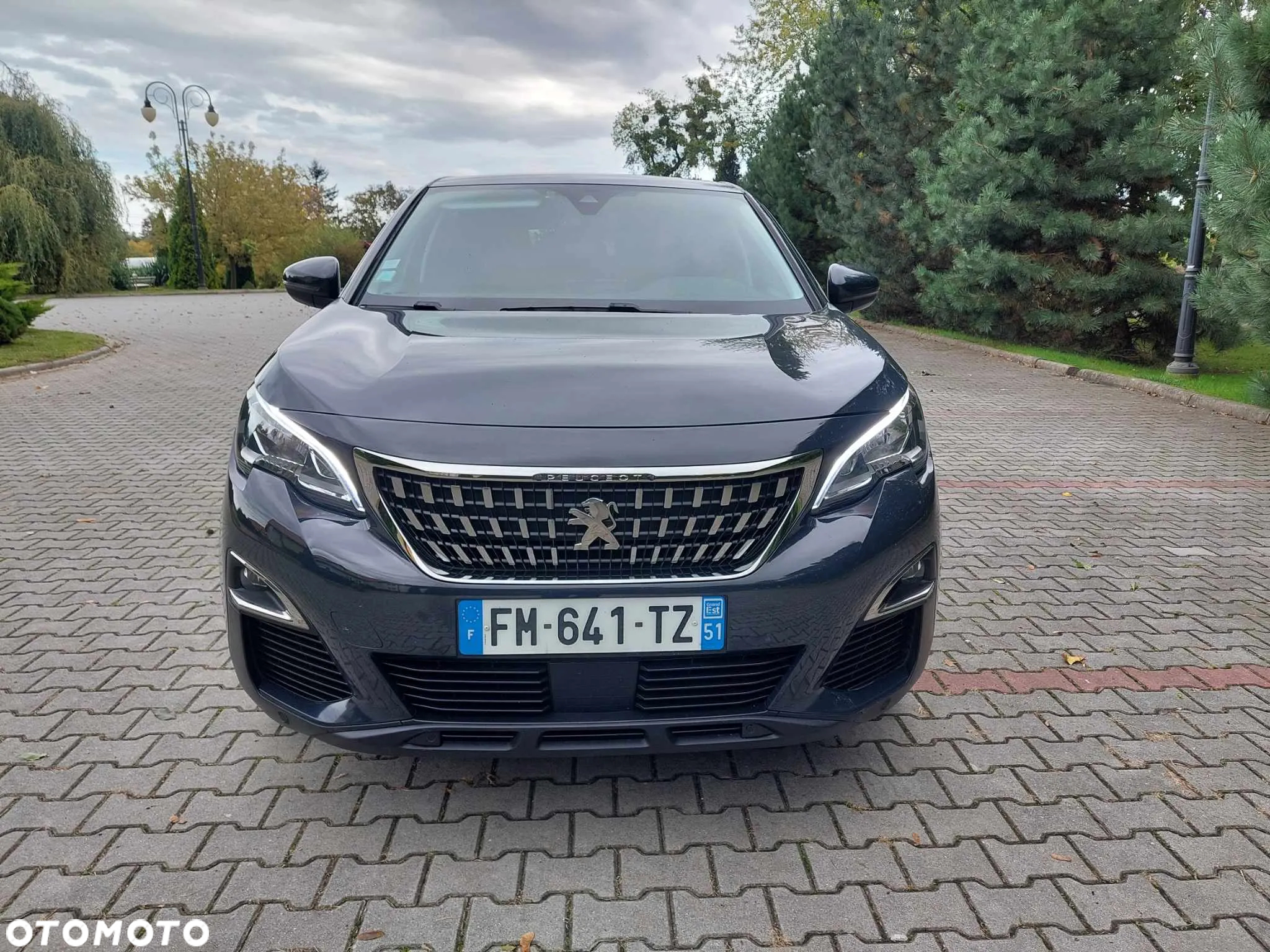 Peugeot 3008 1.5 BlueHDi Active S&S EAT8 - 13