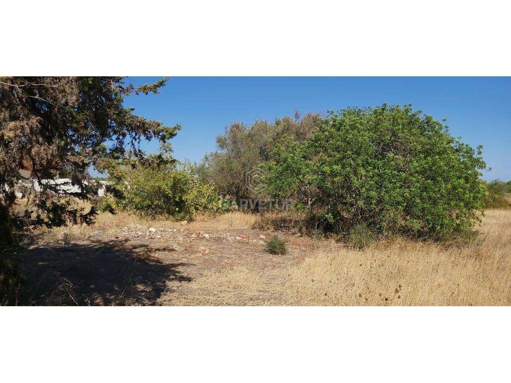 Lote terreno para moradias ou apartamentos, Ferreiras, Albufeira, A... - Grande imagem: 5/17