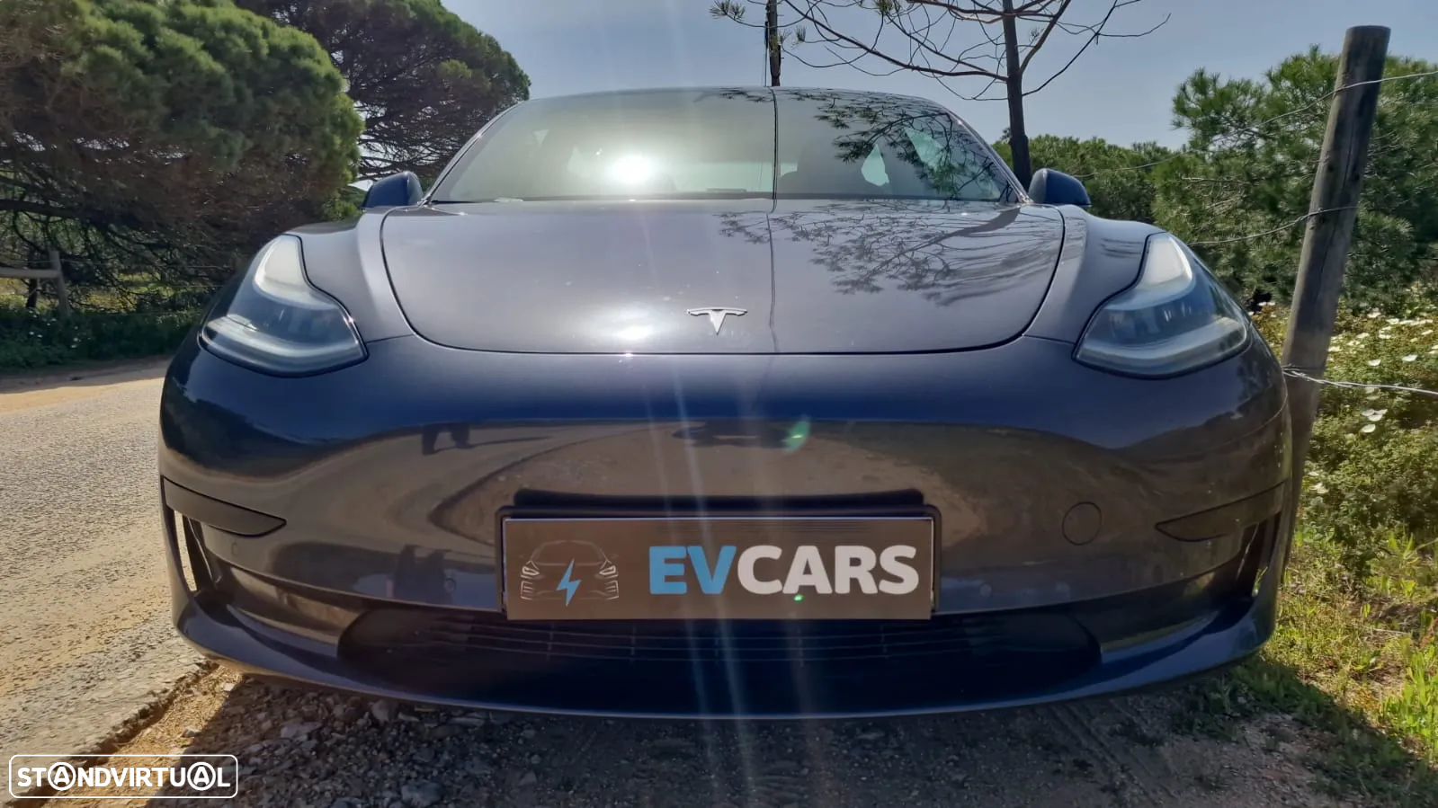 Tesla Model 3 Standard Range Plus RWD - 2