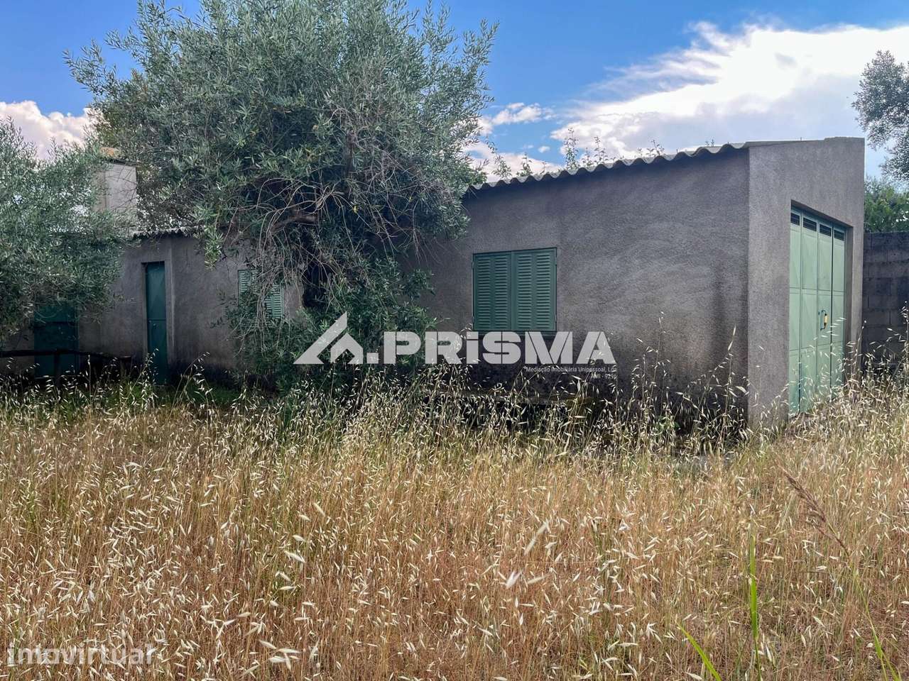 Quintinha para venda em Louriçal do Campo, Castelo Branco - Grande imagem: 4/30