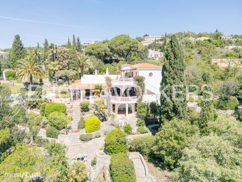 Vista Royale - Grande imagem: 4/56