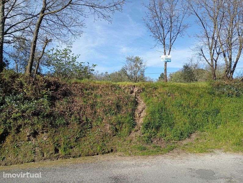 Lindo Terreno na Variante - Grande imagem: 2/6