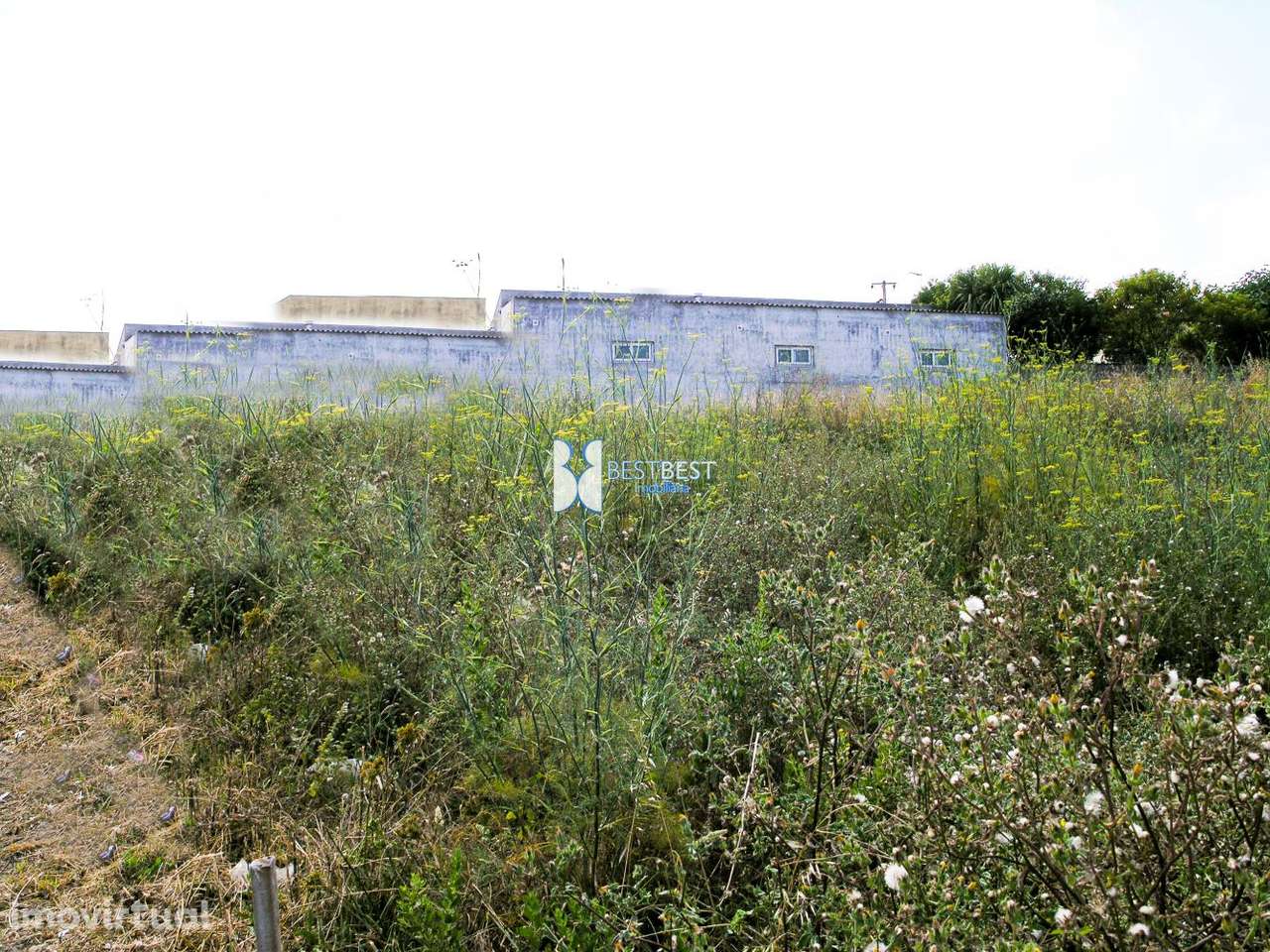 TERRENO PARA CONSTRUÇÃO DE EDIFÍCIO EM RIBEIRÃO - Grande imagem: 3/4