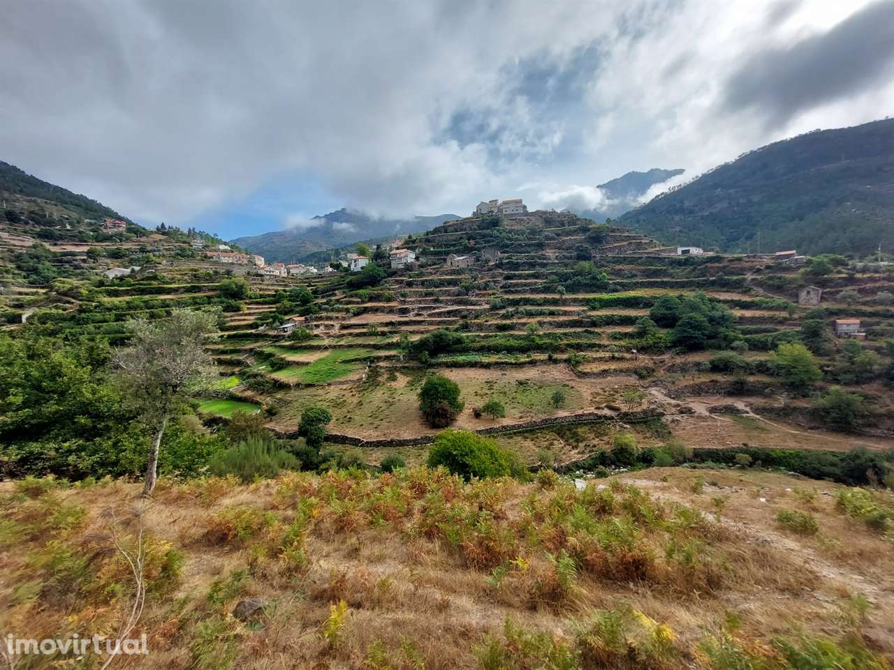 Quinta  Venda em Loriga,Seia - Grande imagem: 3/24