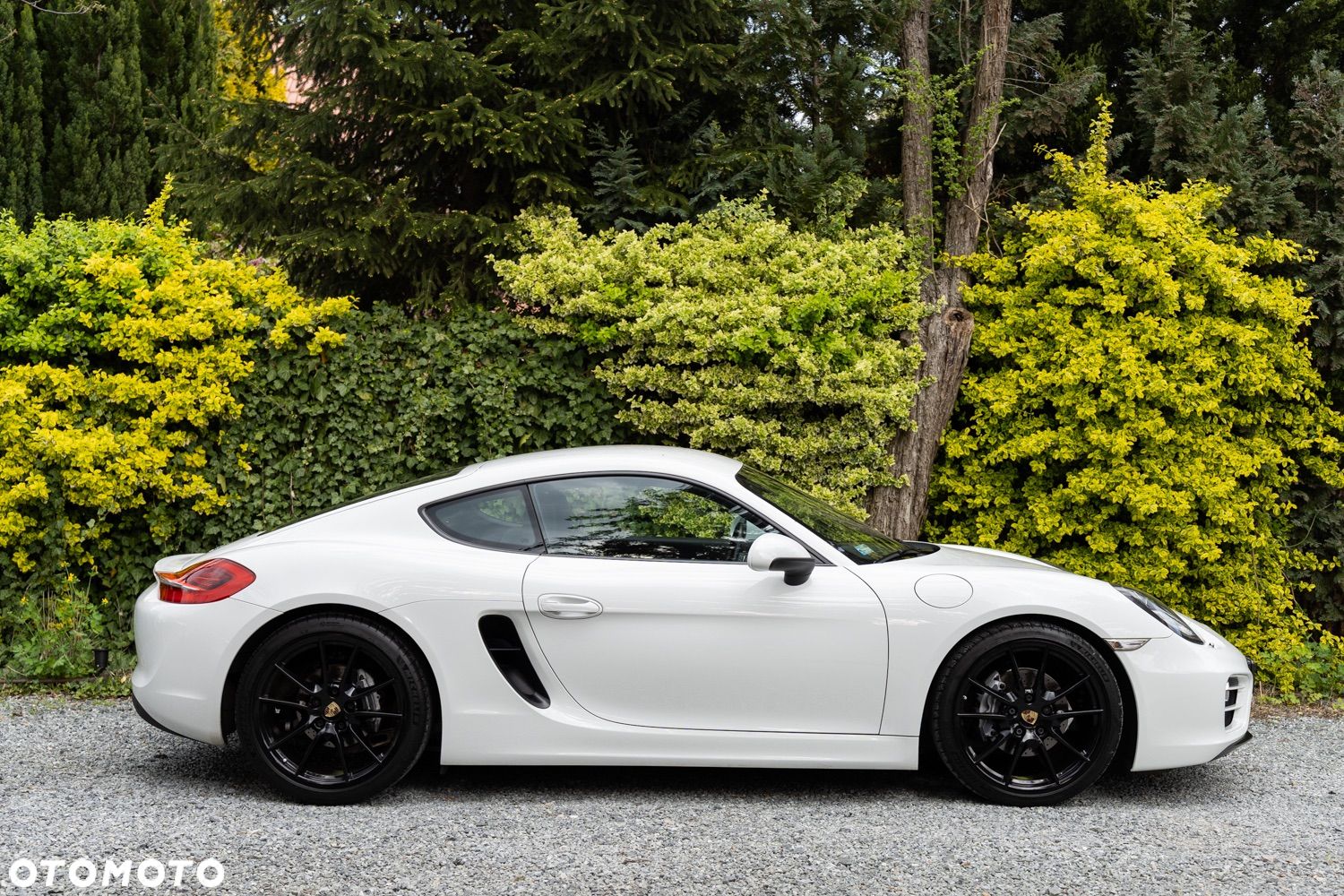 Porsche Cayman PDK - 1