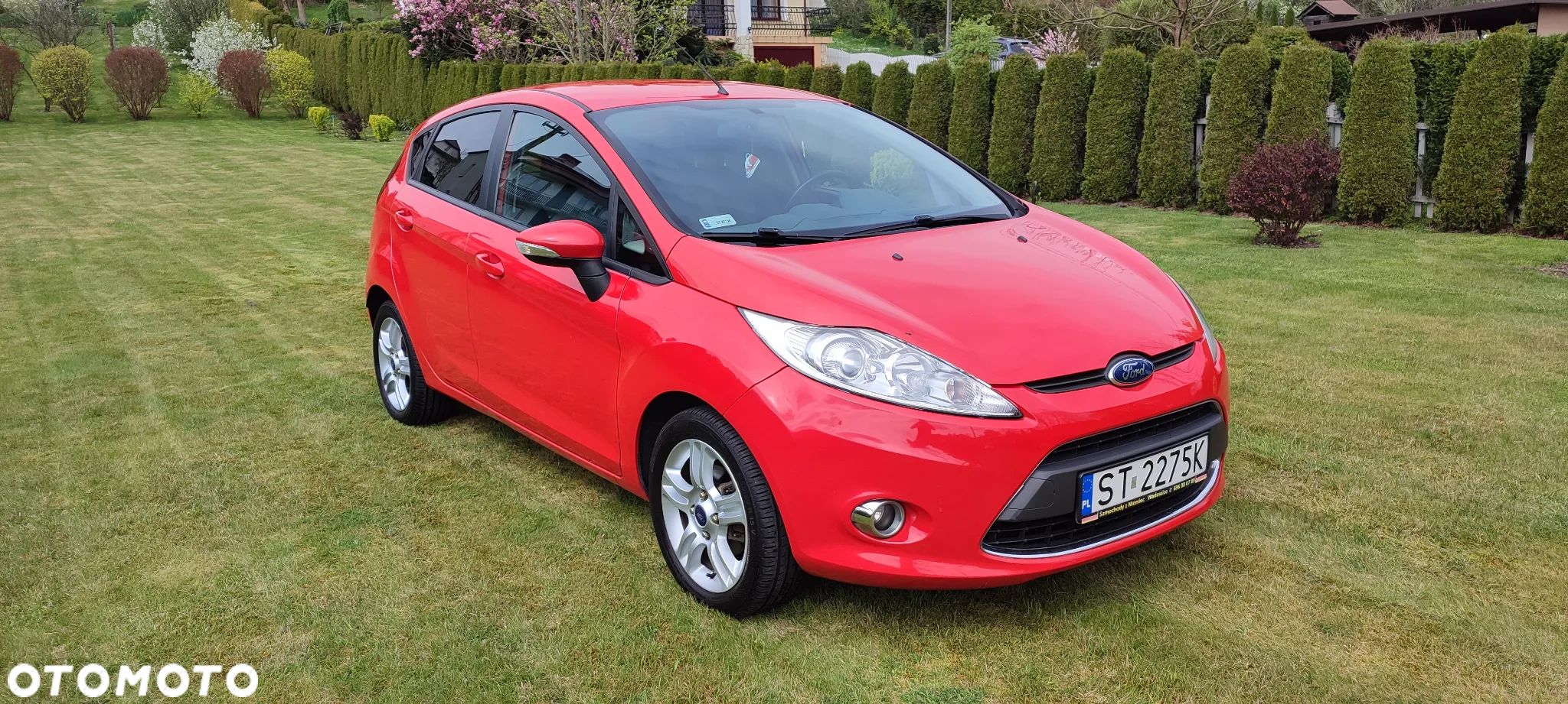 Ford Fiesta - 1