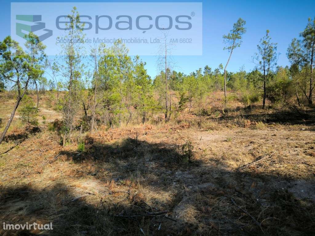 Terreno com bons acessos - S. Domingos - Grande imagem: 4/9