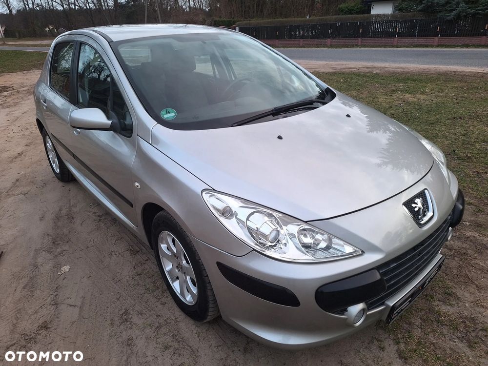 Peugeot 307 Break 110 Premium - 8