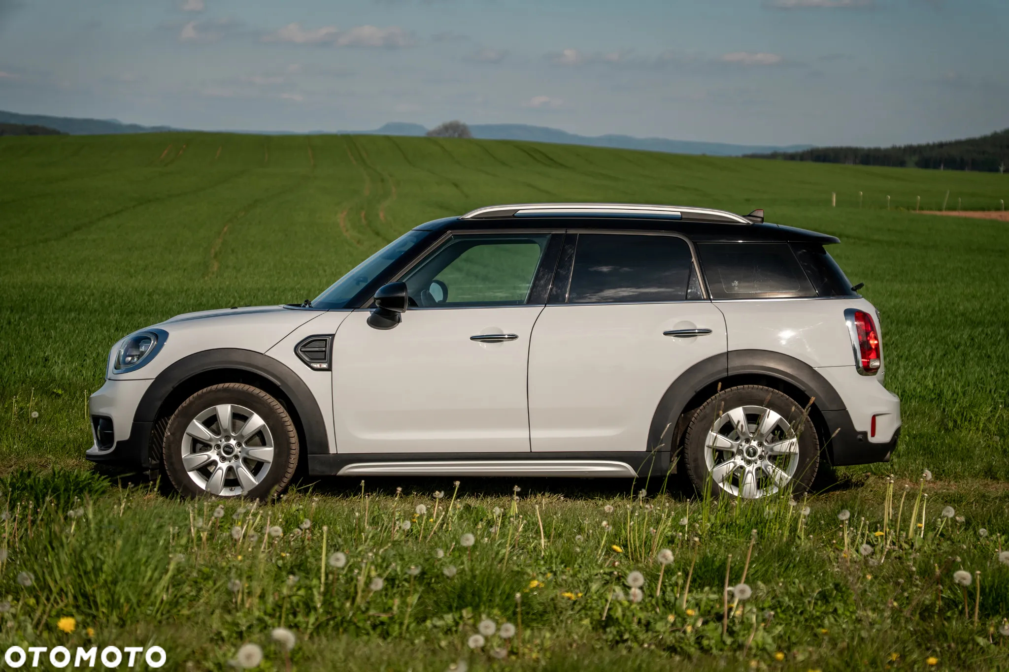 MINI Countryman Cooper D ALL4 - 4