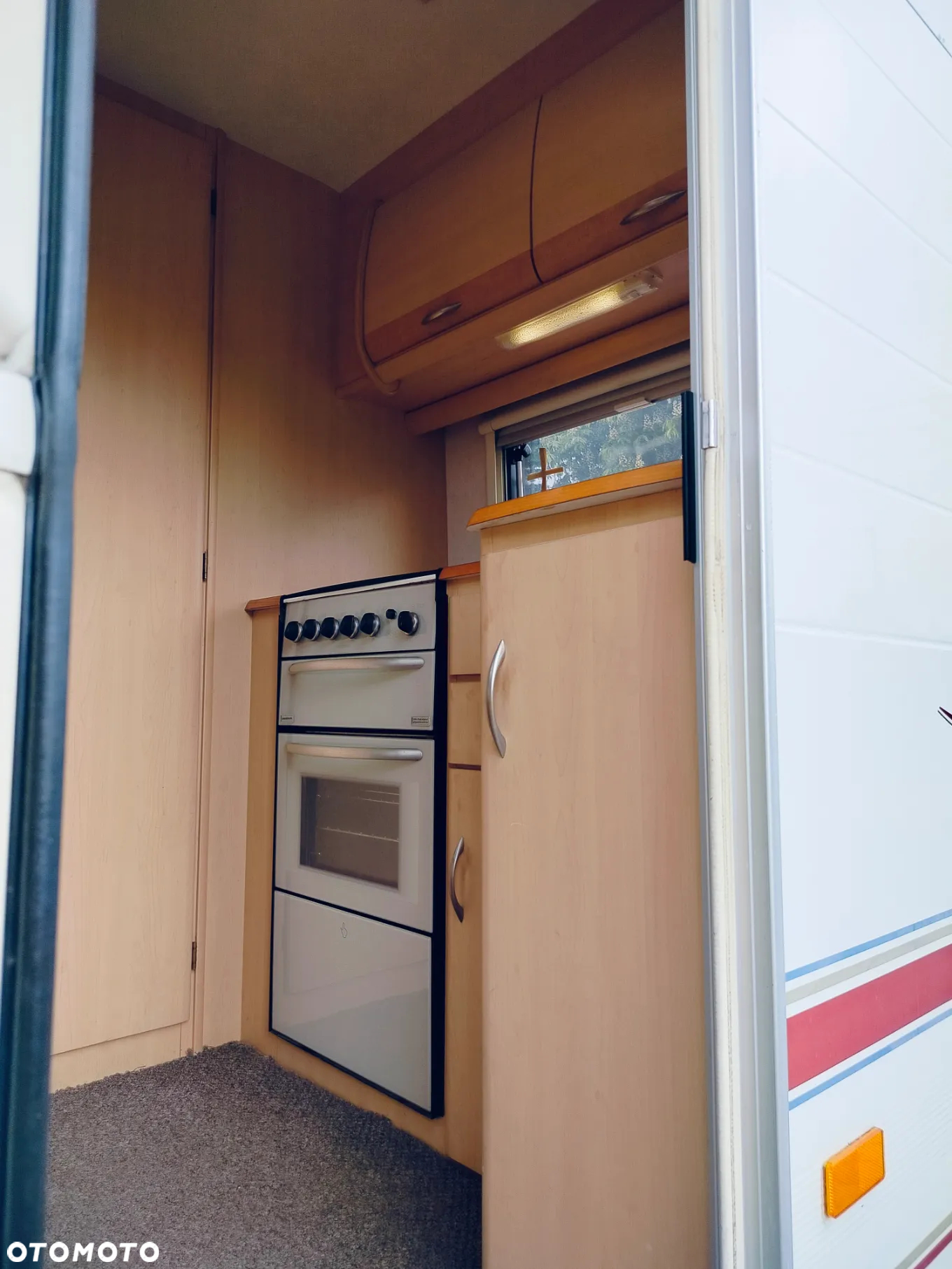 Coachman Amara - 4