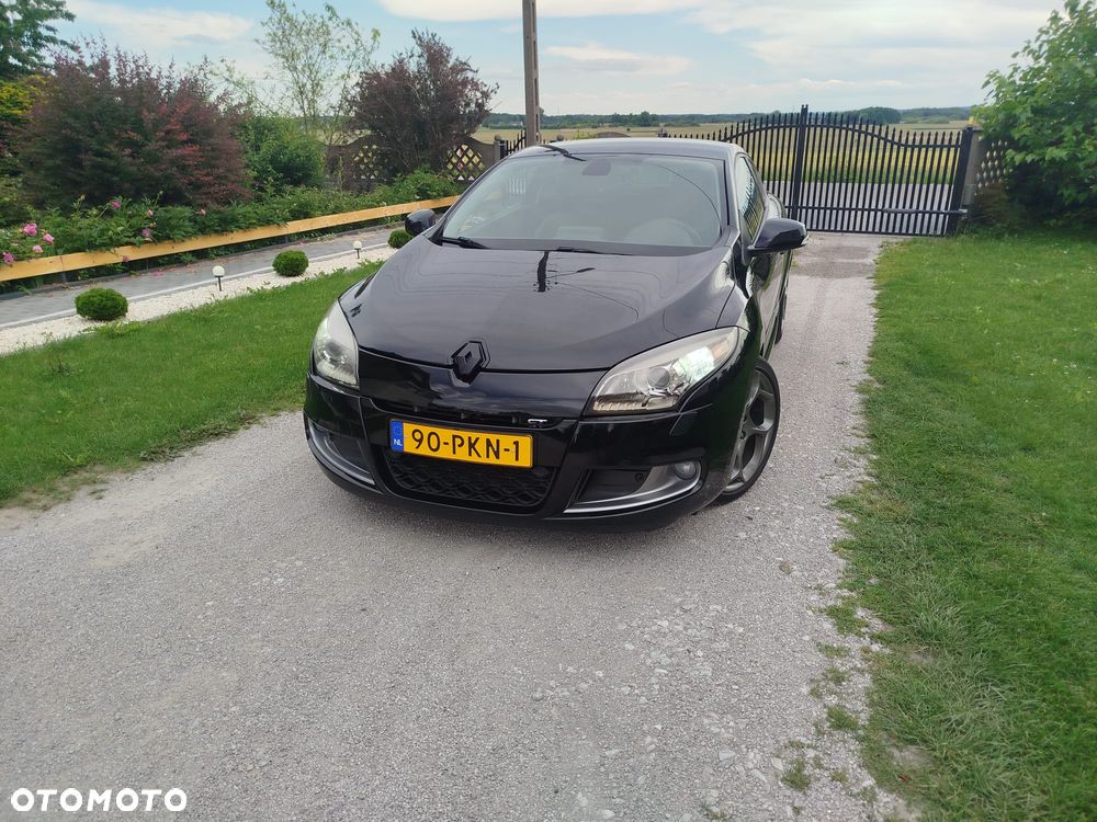 Renault Megane 2.0 16V TCE GT - 13