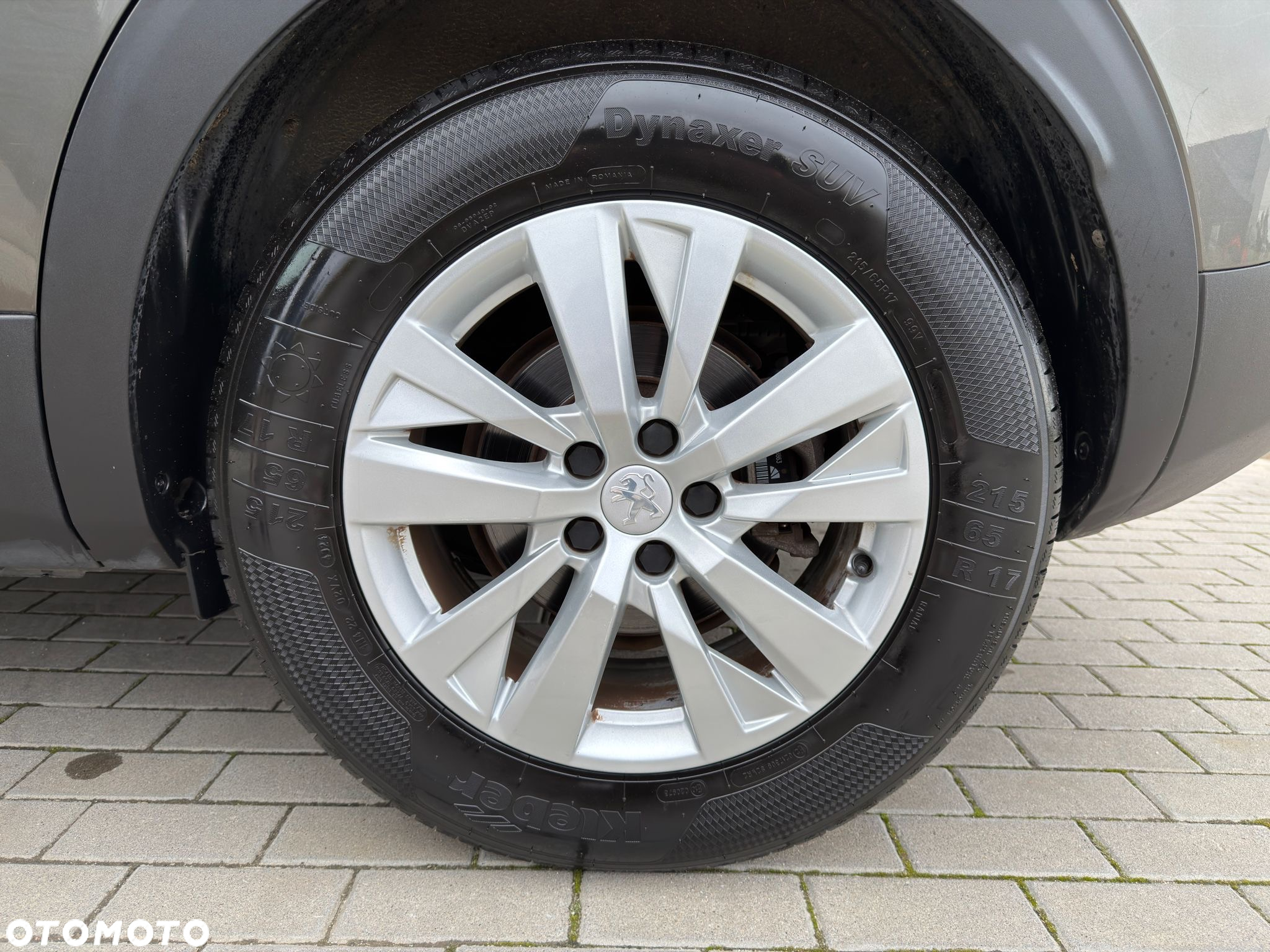 Peugeot 3008 1.5 BlueHDi Active S&S EAT8 - 19