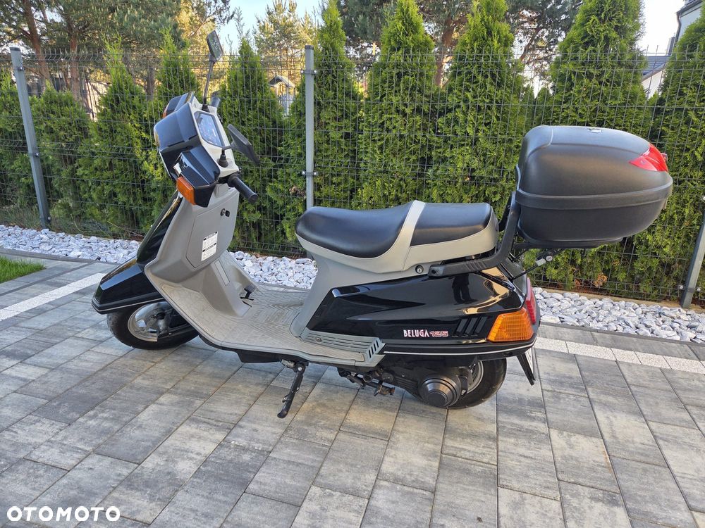 Yamaha Beluga - 17