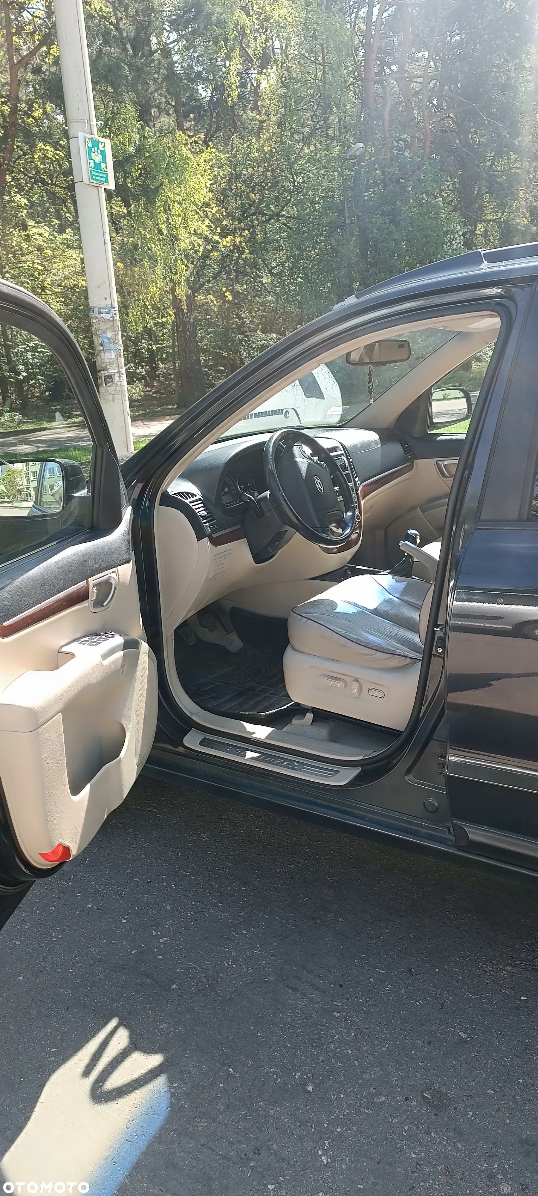 Hyundai Santa Fe - 9