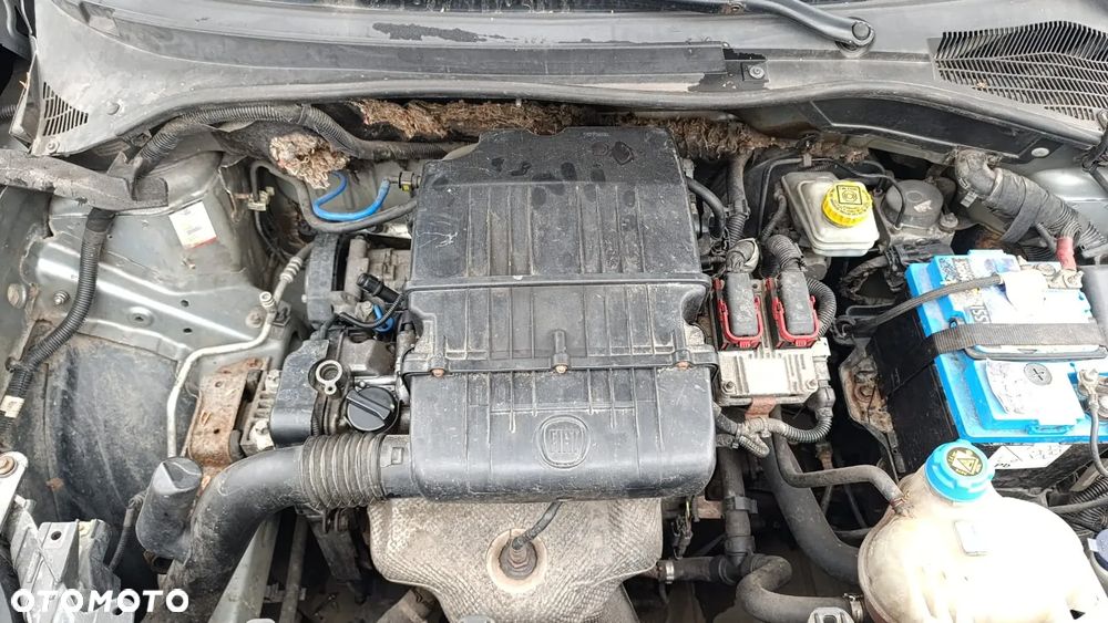 35500 fiat grande punto evo 1.4 8v na części lakier 595A - 5