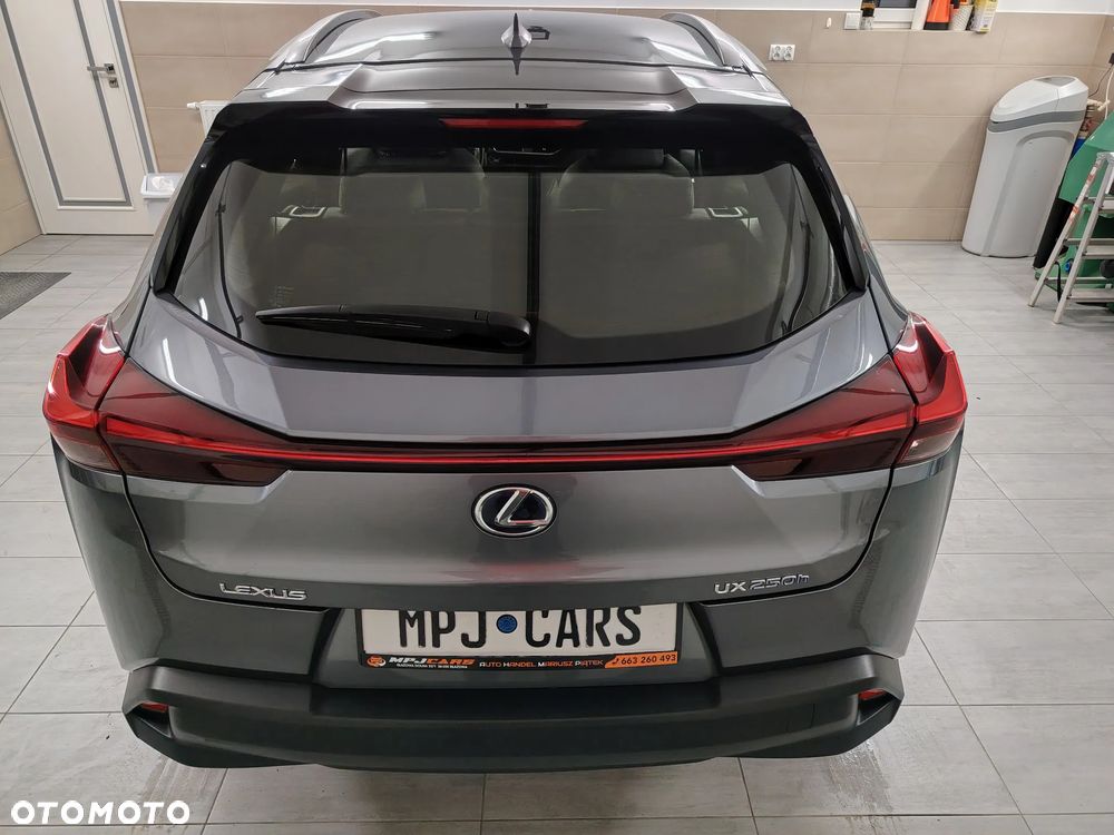 Lexus UX 250h Elegance 2WD - 12