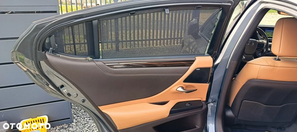 Lexus ES 300h Luxury Line - 19
