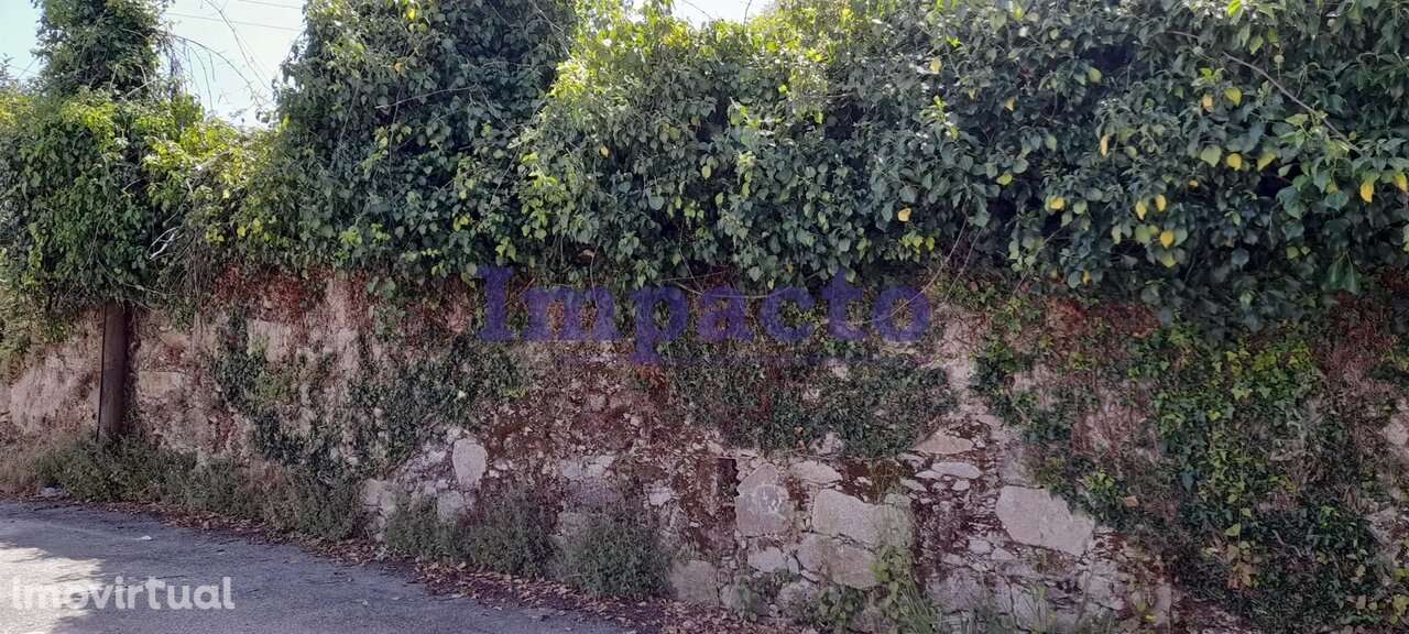 Terreno em Vila de Cucujães, Oliveira de Azeméis - Grande imagem: 3/4