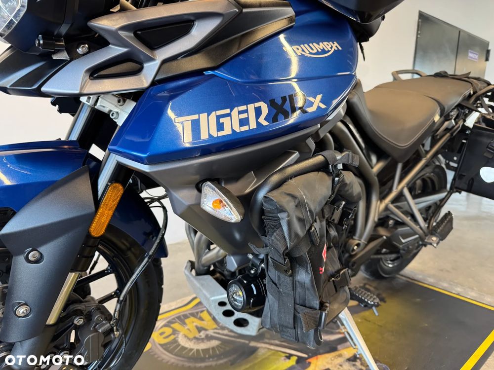Triumph Tiger - 19
