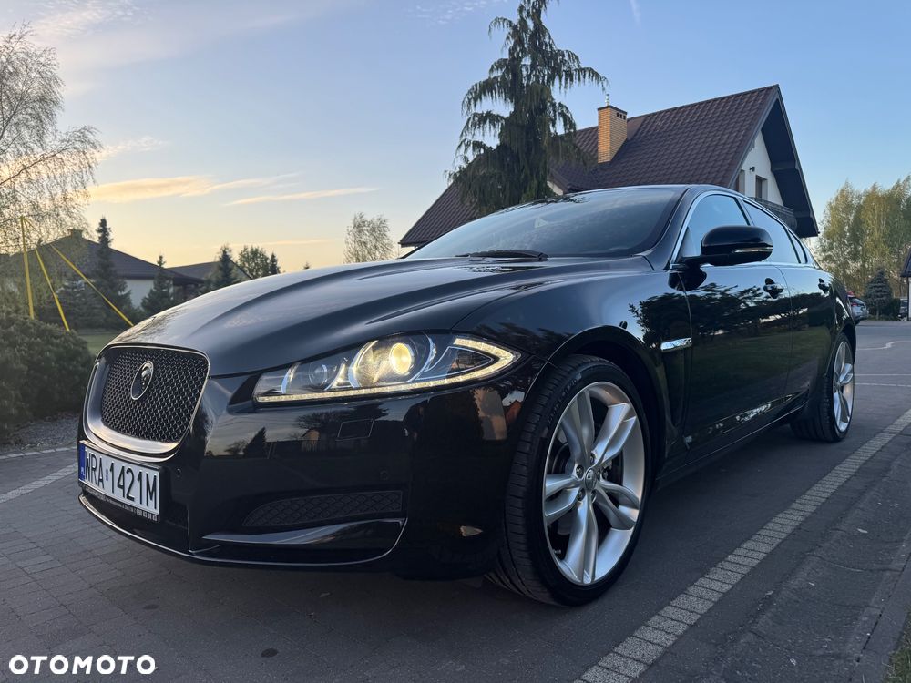 Jaguar XF - 36