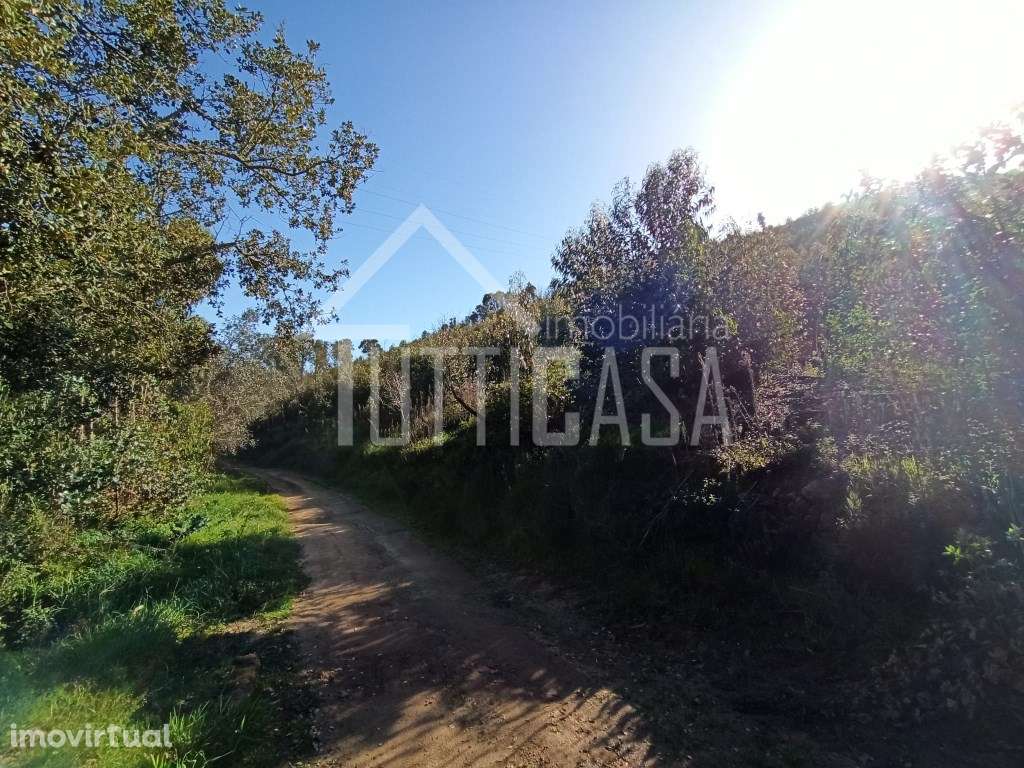 Terreno florestal na Malveira com 4hectares - Grande imagem: 4/10