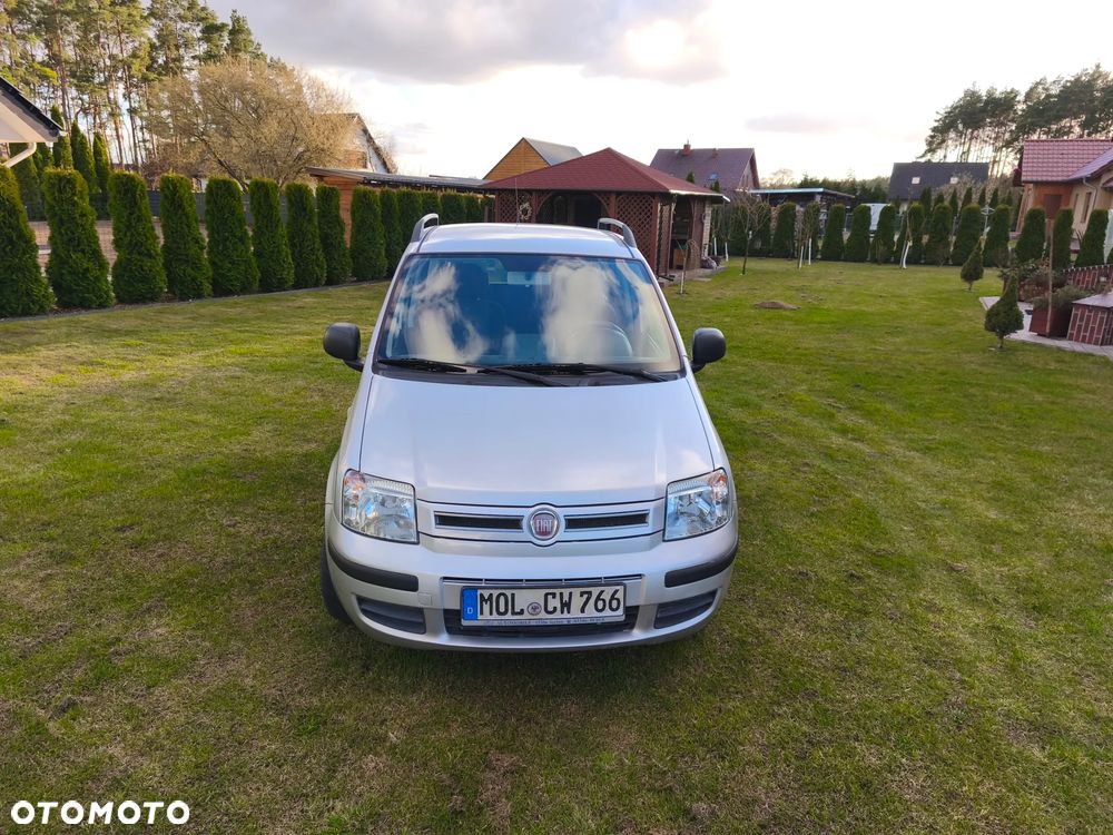 Fiat Panda 1.2 Active - 12