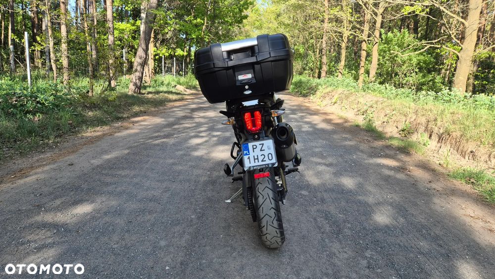 Triumph Tiger - 4