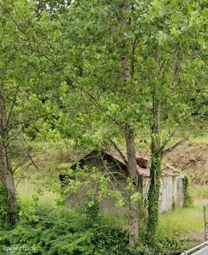 Oportunidade Única Moradia  com terreno para Recuperar - Grande imagem: 2/8