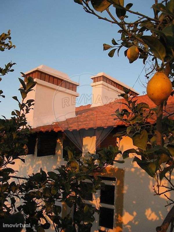 Quinta  para venda - Grande imagem: 3/20