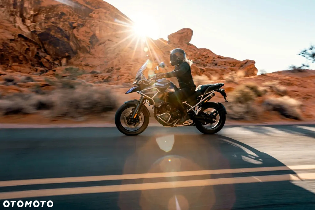 Triumph Tiger - 8