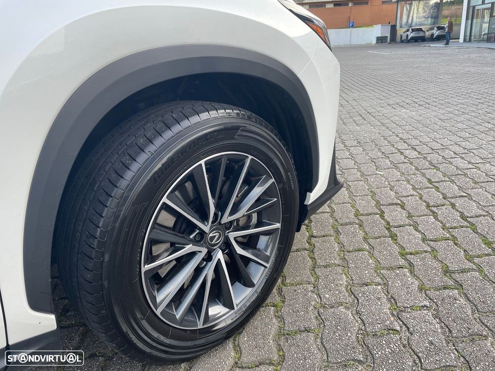Lexus NX 450h+ Executive - 20