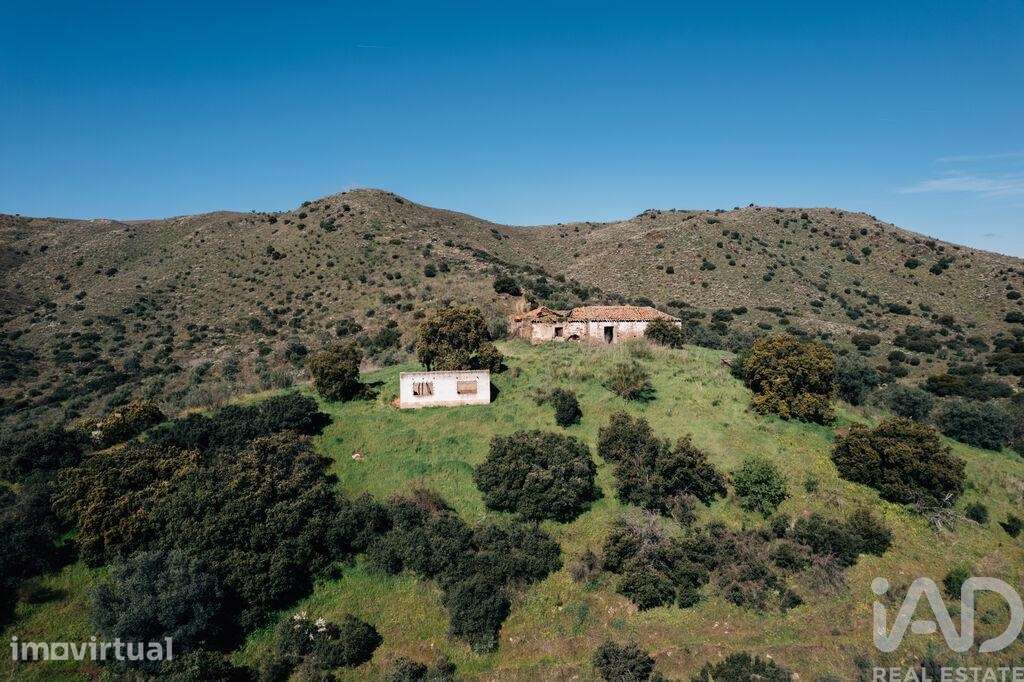 Quinta em Chãs de 1720000 m2 - Grande imagem: 4/40