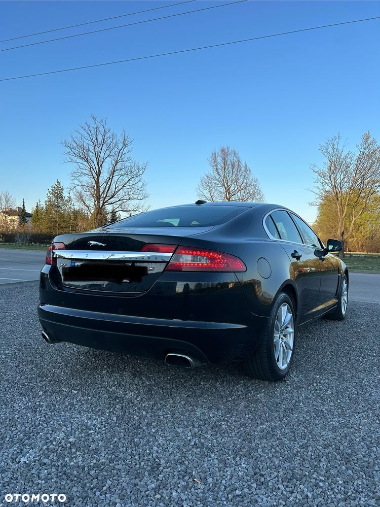 Jaguar Inny - 7