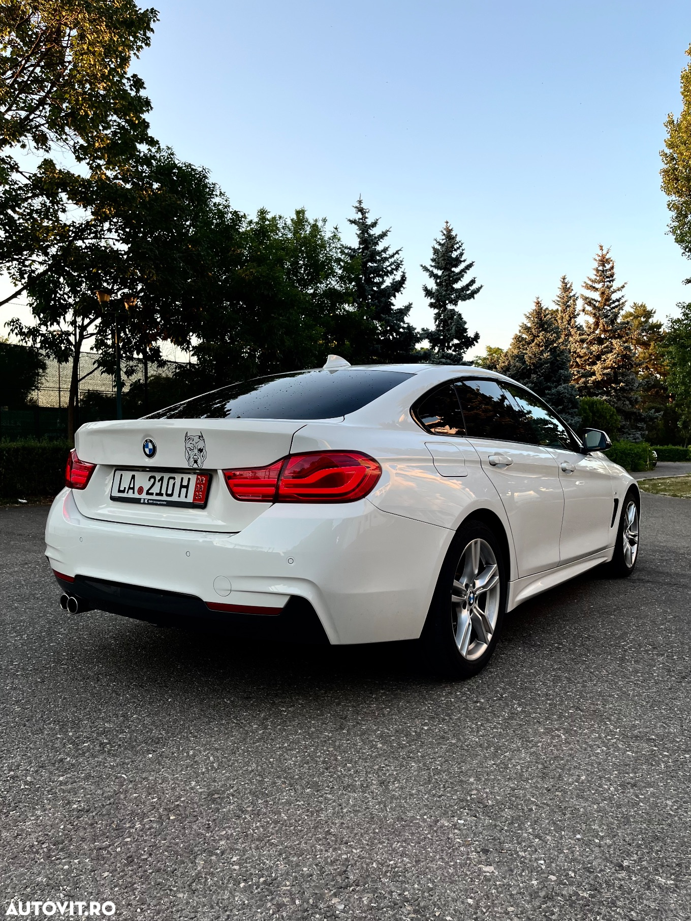 BMW Seria 4 420d Gran Coupe xDrive Aut. Luxury Line - 12