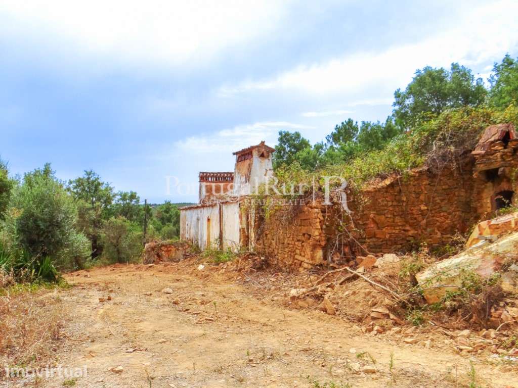 Quinta em Alegrete com ruinas - Grande imagem: 2/23