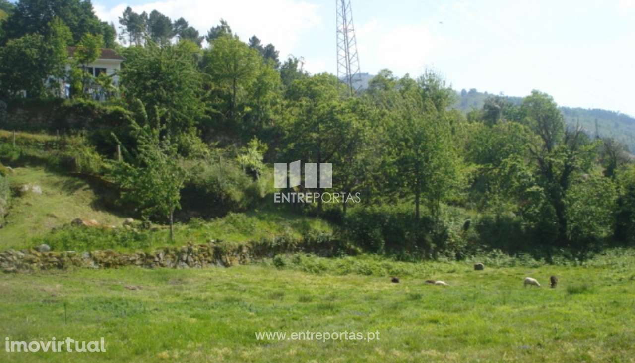 Venda Terreno, vista desafogada, São Cristóvão de Nogueira, Cinfãe - Grande imagem: 3/9